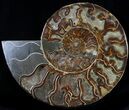 Wide Split Ammonite Pair - Agatized #37034-2